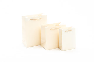 Punga Cadou Premium IUNI, Material Carton, Dimensiuni 11x16x6, Culoare Crem Cu Maner Crem