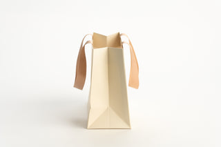 Punga Cadou Premium IUNI, Material Carton, Dimensiuni 25x20x11, Culoare Crem Cu Maner Bej