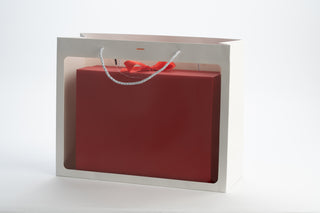 Punga Cadou Cu Fereastra Premium IUNI, Material Carton, Dimensiuni 42x33x15, Culoare Alba Cu Maner Alb – imagine 2