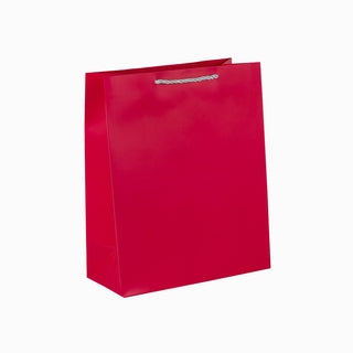 Punga CADOU Iuni, 26x32x12 cm - Siclam / Argintiu