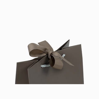 Punga CADOU Iuni, 18x23x10 cm - Coffi / Argintiu
