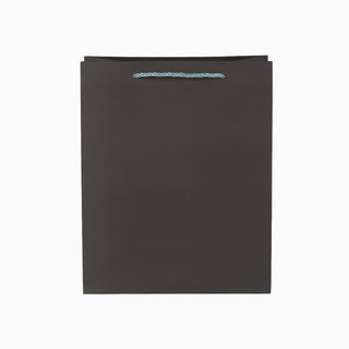Punga cadou Cadou Iuni, 26x32x12 cm - Coffi / Argintiu