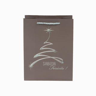 Punga cadou Cadou Sarbatori, 18x23x10 cm - Coffi / Argintiu