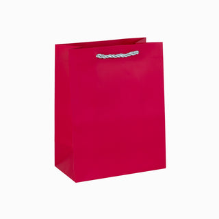 Punga cadou Cadou Iuni, 18x23x10 cm - Siclam / Argintiu